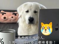 乐鱼体育登录-我只是俱乐部的打工人而已，很多事情我不好拒绝的