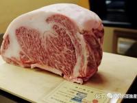 乐鱼体育平台-巴拿马游泳选手速度惊人，实至名归的简单介绍