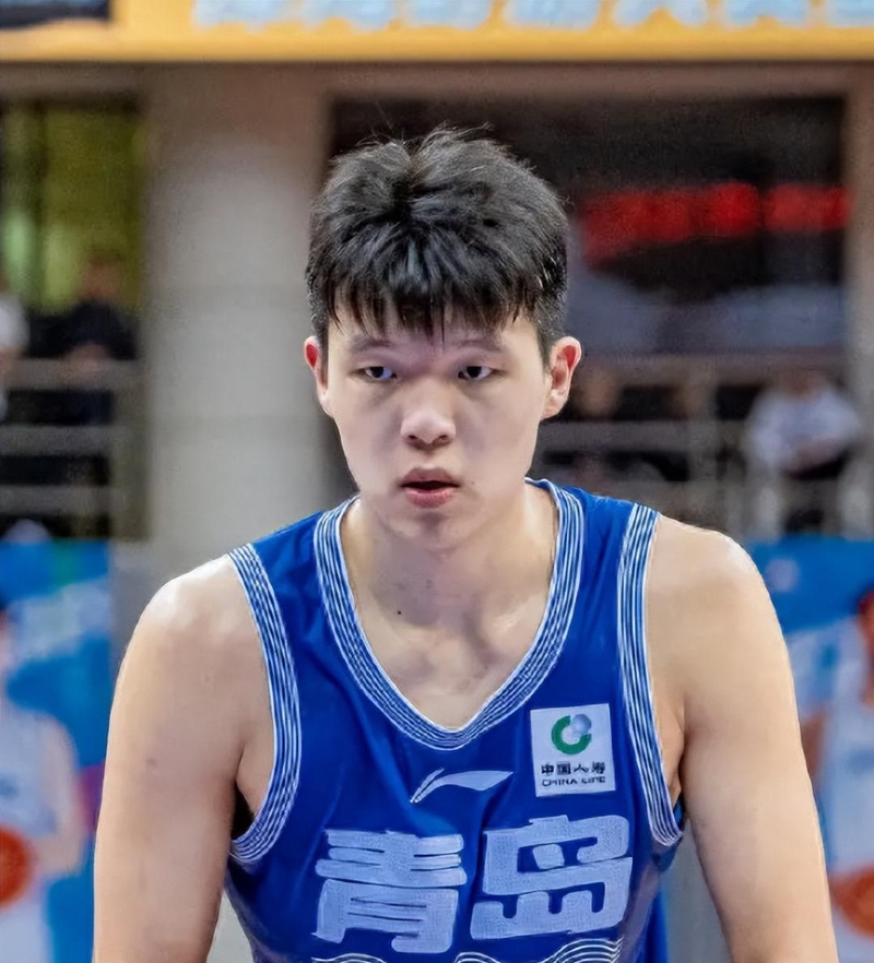 常规赛15分10.8篮板，杨瀚森23-24赛季精彩集锦的简单介绍