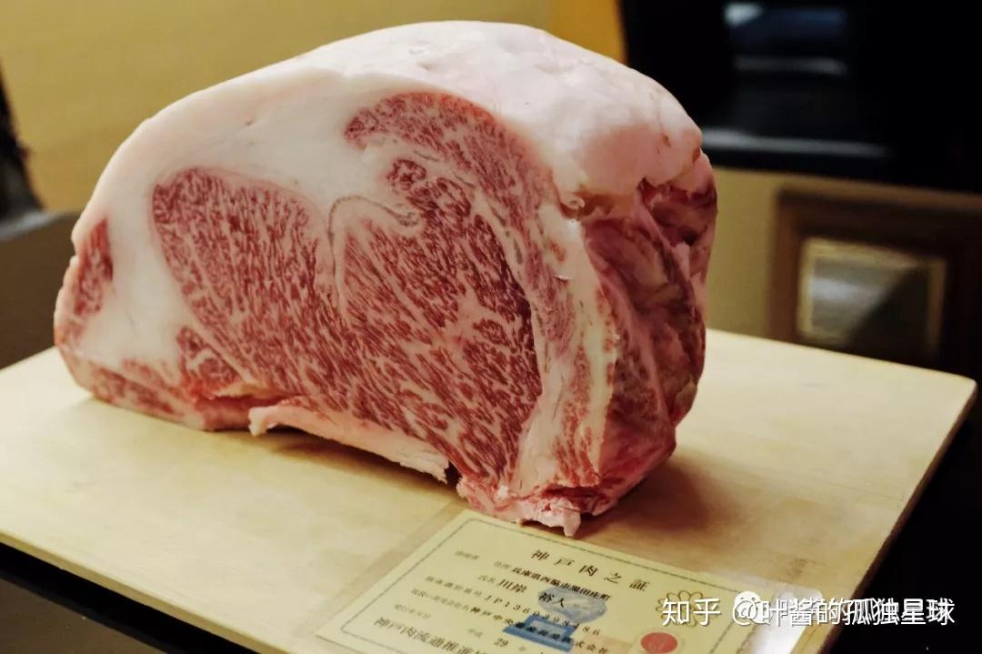 巴拿马游泳选手速度惊人，实至名归的简单介绍